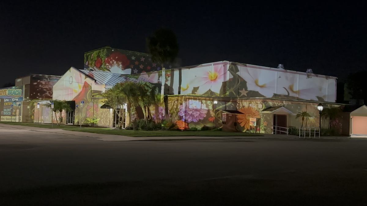 House glowing with a floral projection show at night